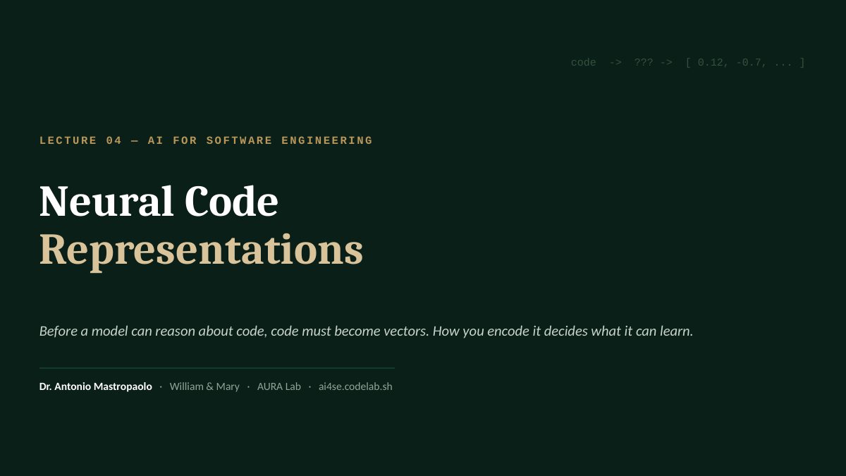 Title slide for Neural code representations